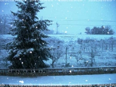 Viterbo - Zona Mammagialla  - Anna Laura Menichini