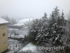 Ronciglione - Stefania