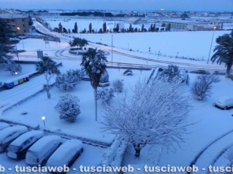 Tarquinia