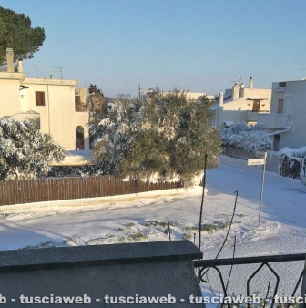 Tarquinia Lido