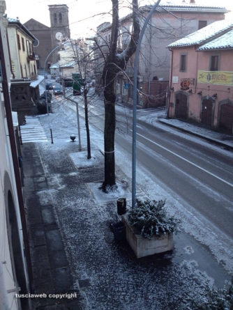 La Quercia - Viale Trieste - Foto Luciana Biaggi