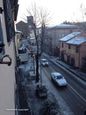 La Quercia - Viale Trieste - Foto Luciana Biaggi