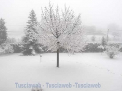 Montefiascone - Giacomo Maiucci