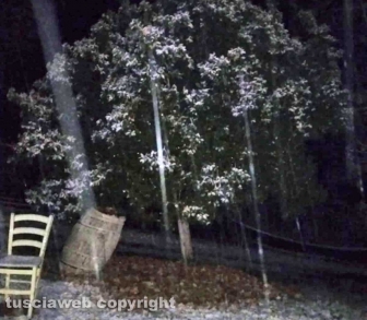 Maltempo - Neve a Proceno