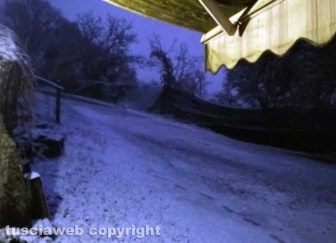 Maltempo - Neve a Proceno