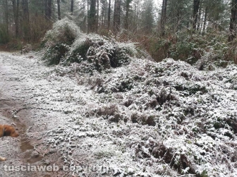Nevica sui Cimini e sulla Cimina