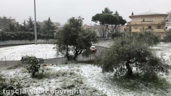 La neve a Viterbo - La Teverina
