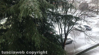 La neve a Viterbo