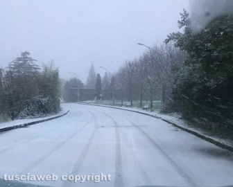 La neve a Bagnaia