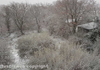 La neve a Vitorchiano