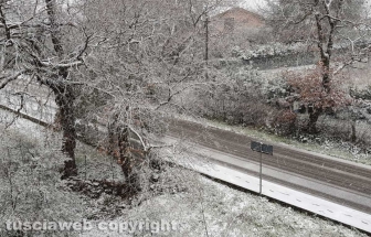 La neve a Vitorchiano