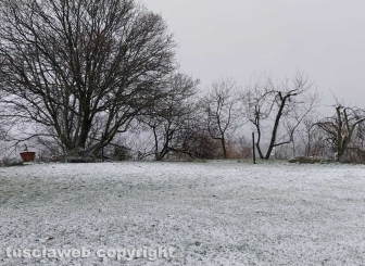 La neve nelle campagne di Canepina