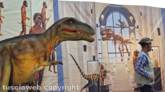 Civita di Bagnoregio - Notte delle luci