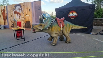 Civita di Bagnoregio - Notte delle luci