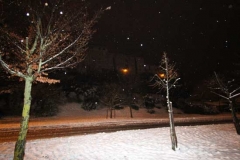 Notte di neve a Viterbo