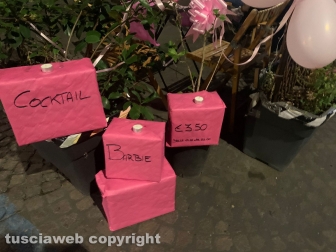 Viterbo - Notte Rosa 2023