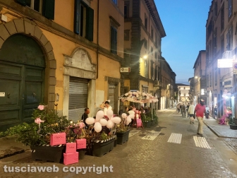 Viterbo - Notte Rosa 2023