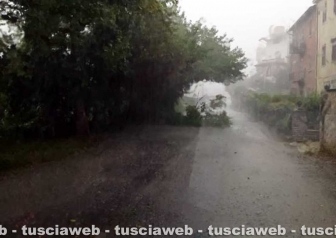 Orte Scalo - Ramo crollato sulla provinciale