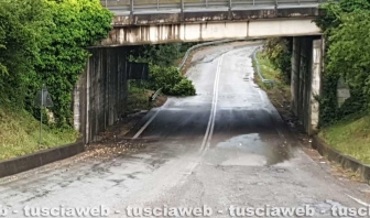 Orte - Ramo caduto all'uscita della superstrada