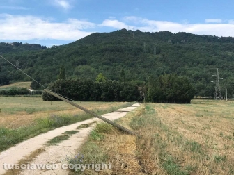 Orte - Maltempo - Caduti i pali della Telecom
