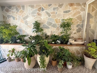 Il nuovo punto vendita di Casantini in via Cairoli