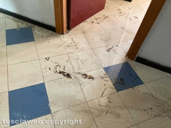 Orte - Il centro d'accoglienza - Il corridoio interno