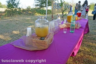 Open day