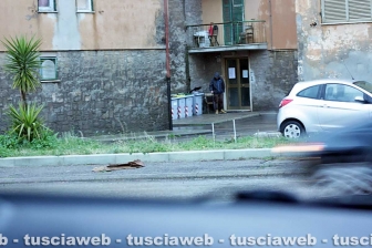 Viterbo - Operazione Cashier's check