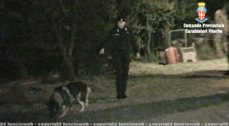 Operazione Fai da te