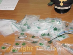 Le bustine per confezionare la droga