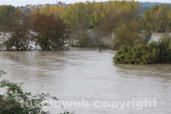 Orte sommersa dal Tevere