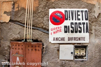 Ortiche