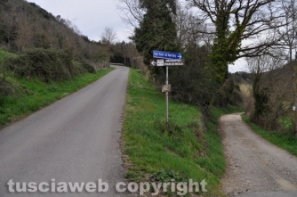 La zona in cui si trova la tomba