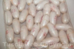 Gli ovuli cocaina sequestrati