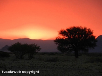 Paesaggi della Namibia