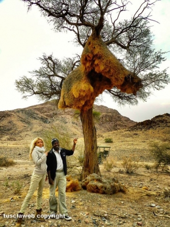 Paesaggi della Namibia