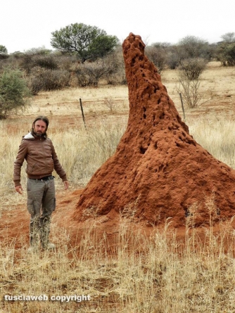 Paesaggi della Namibia