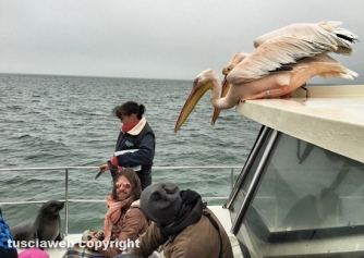 Paesaggi della Namibia