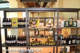 Palaexpo, l\'inaugurazione