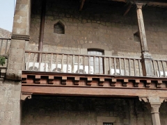 Palazzo Farnese sommerso dagli escrementi di piccione