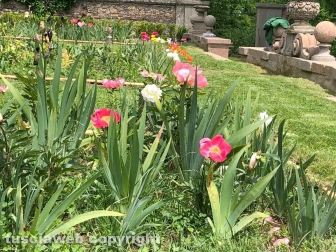Caprarola – Palazzo Farnese, tornano a splendere i giardini storici