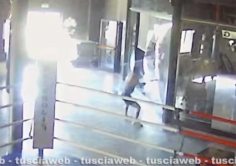 Palestra Next distrutta a Monterosi - Il giovane in azione