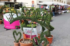 L\'ingresso di porta del Carmine