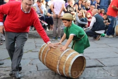 Il minipalio