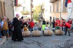 Il minipalio