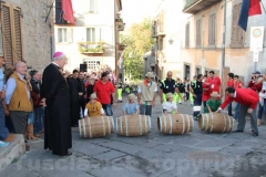 Il minipalio