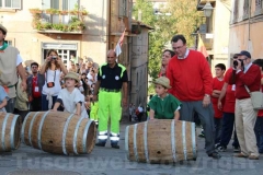 Il minipalio