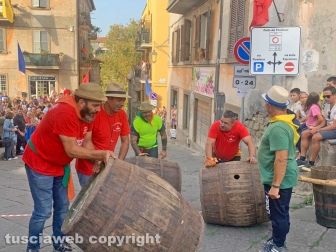 Viterbo - Palio delle botti