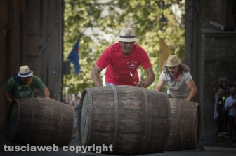 Viterbo - Palio delle Botti