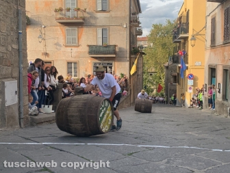 Viterbo - Palio delle botti a Pianoscarano 2024